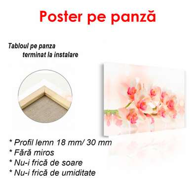 Постер - Нежная орхидея, 90 x 60, Цветы