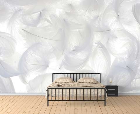Wall Mural - White feathers