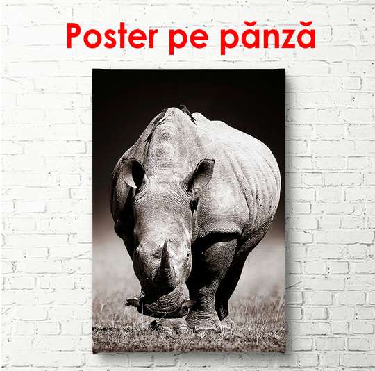 Постер - Носорог, 30 x 60 см, Холст на подрамнике
