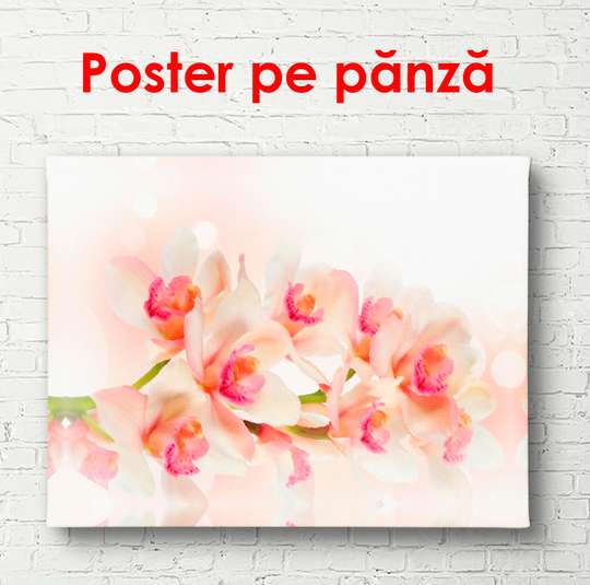Постер - Нежная орхидея, 90 x 60