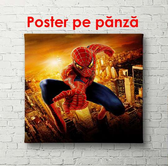 Poster - Omul de păianjen la apusul soarelui, 100 x 100 см, Poster înrămat, Pentru Copii