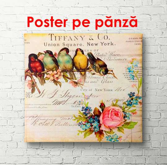 Poster - Păsări multicolore pe o ramură, 100 x 100 см, Poster înrămat