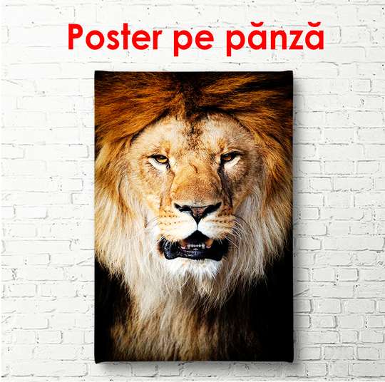 Poster, Regele animalelor, 60 x 90 см, Poster înrămat, Animale