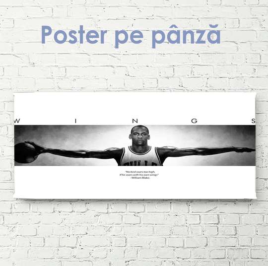 Poster, Wings of Michael Jordan, 60 x 30 см, Canvas on frame