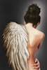Tablou înramat - Înger, 50 x 75 см