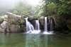 Wall Mural - Beautiful waterfall in the green forest