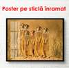 Poster, Meerkats africani, 90 x 60 см, Poster înrămat, Animale