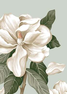Постер - Белые цветы, 60 x 90 см, Постер на Стекле в раме, Наборы
