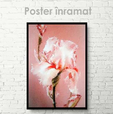 Poster - Delicate Iris, 30 x 45 см, Canvas on frame, Flowers