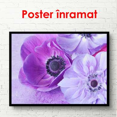 Poster - Flori de primăvară violet, 90 x 45 см, Poster înrămat, Flori