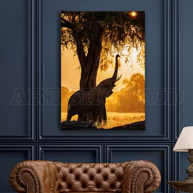 Poster - The elephant on the background of the sunset, 60 x 90 см, Framed poster on glass, Animals