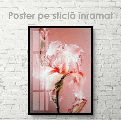 Poster - Delicate Iris, 60 x 90 см, Framed poster on glass, Flowers