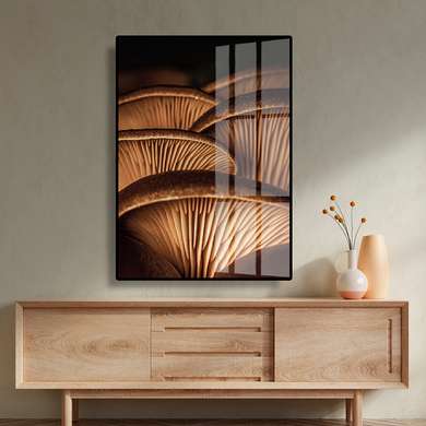 Poster - Mushrooms, 30 x 45 см, Canvas on frame