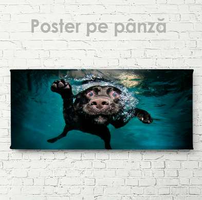 Постер, Собака под водой, 60 x 30 см, Холст на подрамнике, Животные