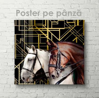Poster, Doi cai, 40 x 40 см, Panza pe cadru, Animale