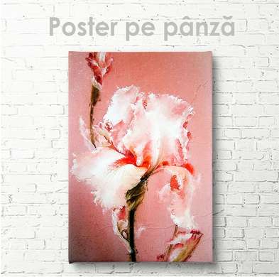 Poster - Iris gingaș, 30 x 45 см, Panza pe cadru, Flori
