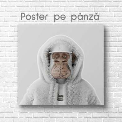 Poster, Glamor Monkey