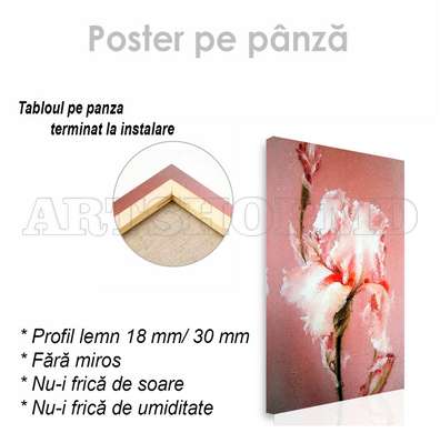 Постер - Нежный Ирис, 60 x 90 см, Постер на Стекле в раме, Цветы