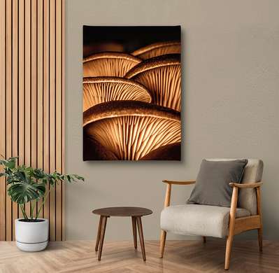 Poster - Mushrooms, 30 x 45 см, Canvas on frame