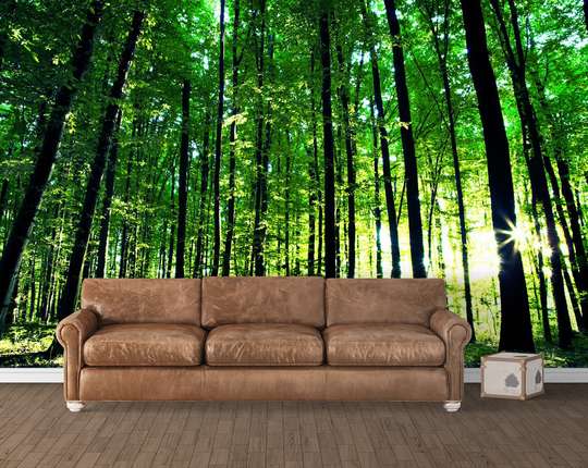 Wall Mural - Beautiful green forest