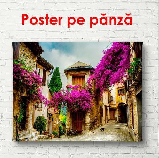 Постер - Дворик с фиолетовыми деревьями, 90 x 60 см, Постер в раме, Города и Карты