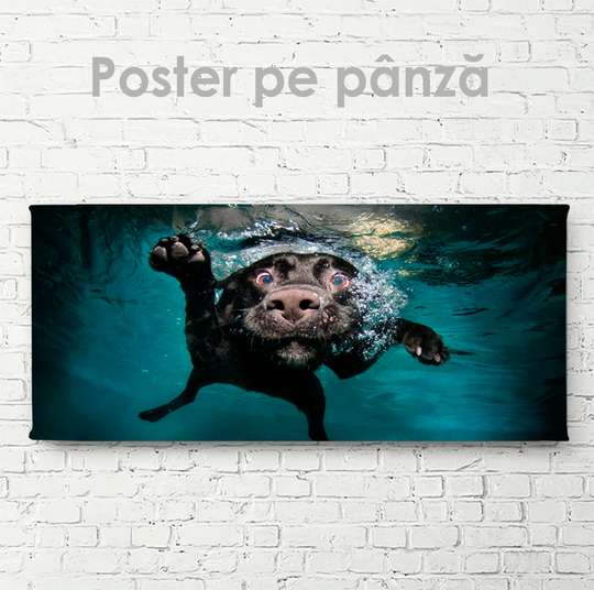 Постер, Собака под водой, 60 x 30 см, Холст на подрамнике