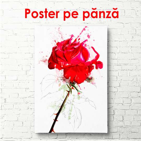 Постер - Красная роза на светлом фоне, 60 x 90 см, Постер в раме, Цветы