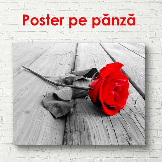 Постер - Красная роза, 90 x 60 см, Постер в раме, Цветы
