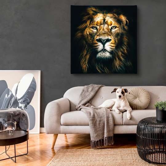 Poster, Lion gaze, 40 x 40 см, Canvas on frame, Animals
