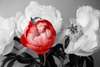 Фотообои - Красный цветок на фоне черно белых цветов
