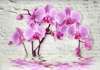 Wall Mural - Pink orchid on a white wall background