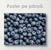 Poster - Blueberry, 45 x 30 см, Canvas on frame