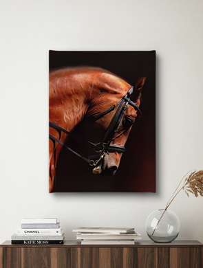 Poster, Brown horse, 60 x 90 см, Framed poster on glass, Animals