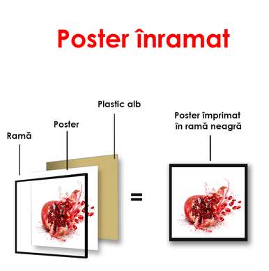 Poster - Pomegranate on a white background, 100 x 100 см, Framed poster