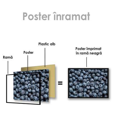 Poster - Blueberry, 45 x 30 см, Canvas on frame
