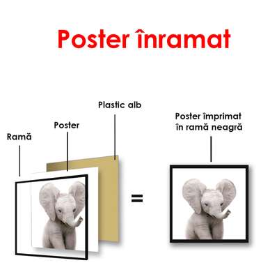 Постер - Слоненок на белом фоне, 100 x 100 см, Постер в раме, Минимализм