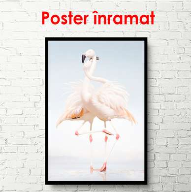 Poster - Două flamingo roz tandre, 30 x 45 см, 30 x 60 см, Panza pe cadru