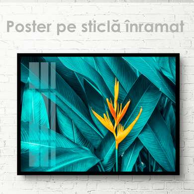 Poster - Tropical greenery, 45 x 30 см, Canvas on frame