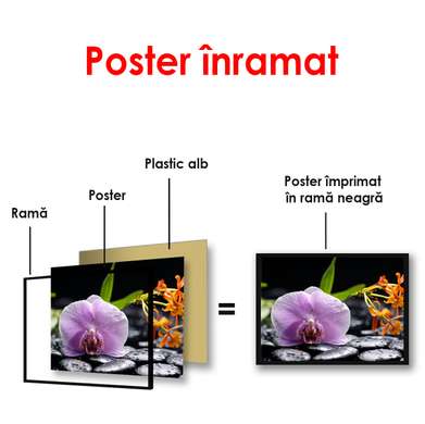 Poster - Orhideea purpură pe pietre, 90 x 60 см, Poster înrămat, Flori