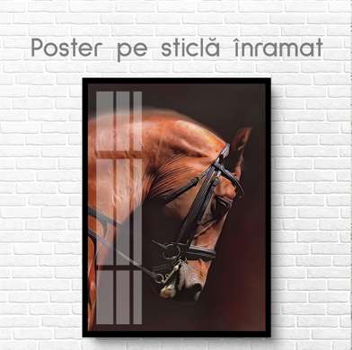 Постер, Коричневая лошадь, 60 x 90 см, Постер на Стекле в раме, Животные