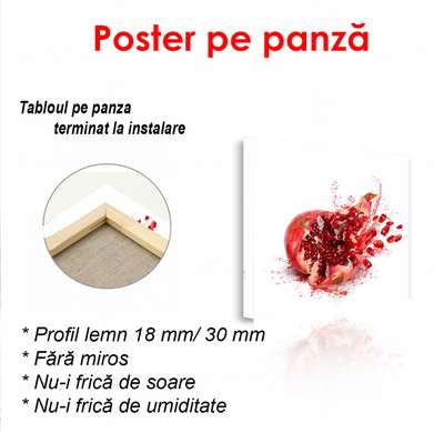 Poster - Pomegranate on a white background, 100 x 100 см, Framed poster