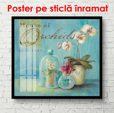 Постер - Ваза с белыми цветами на голубом фоне, 100 x 100 см, Постер в раме, Прованс