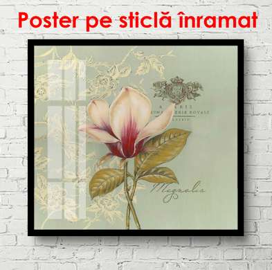Poster - Floarea delicată de magnolie pe un fundal albastru, 100 x 100 см, Poster înrămat, Provence