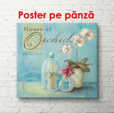 Poster - Vaza cu flori albe pe un fundal albastru, 100 x 100 см, Poster înrămat, Provence