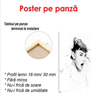 Постер - Черно белый портрет Софи Лорен, 60 x 90 см, Постер в раме, Личности