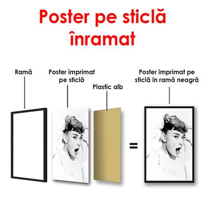 Poster - Portretul alb-negru al Sophiei Loren, 60 x 90 см, Poster înrămat, Persoane Celebre