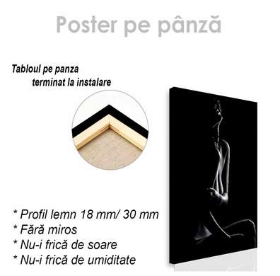 Poster - Siluet feminin, 60 x 90 см, Poster inramat pe sticla