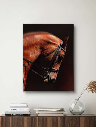 Poster, Brown horse, 30 x 45 см, Canvas on frame, Animals