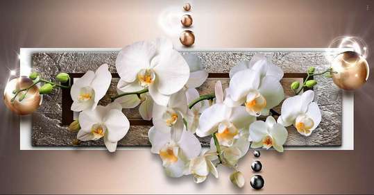 3Д Фотообои - Белая орхидея на коричневом фоне.