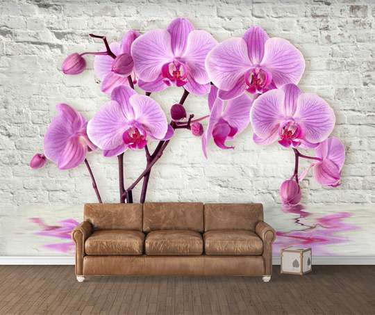 Wall Mural - Pink orchid on a white wall background